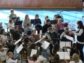 Orchestr