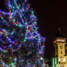 Rozsvícení vánočního stromu v Napajedlích 1