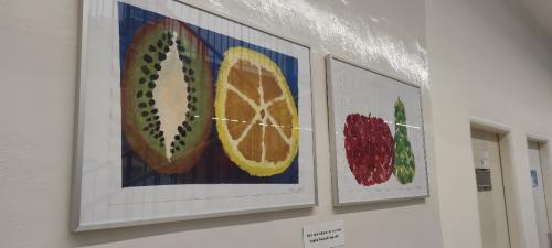 Nová výstavka ve Zdravotním středisku v Napajedlích, OVOCE I ZELENINA,práce žáků p.uč.Langrové