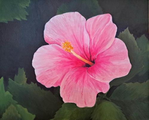 Absolventské práce žáků uč. Ivany Kotáskové